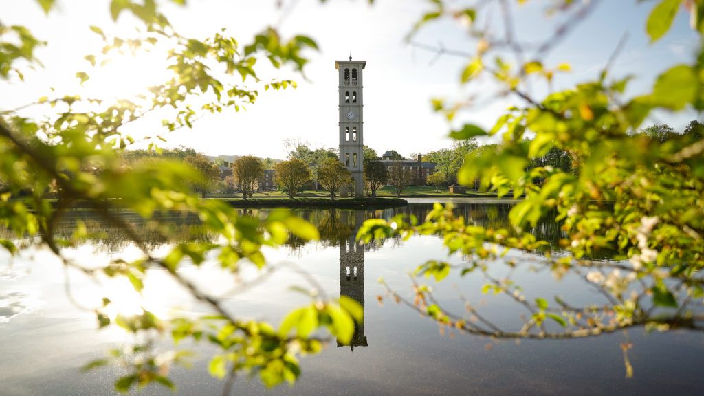 Spring, bell tower through the trees