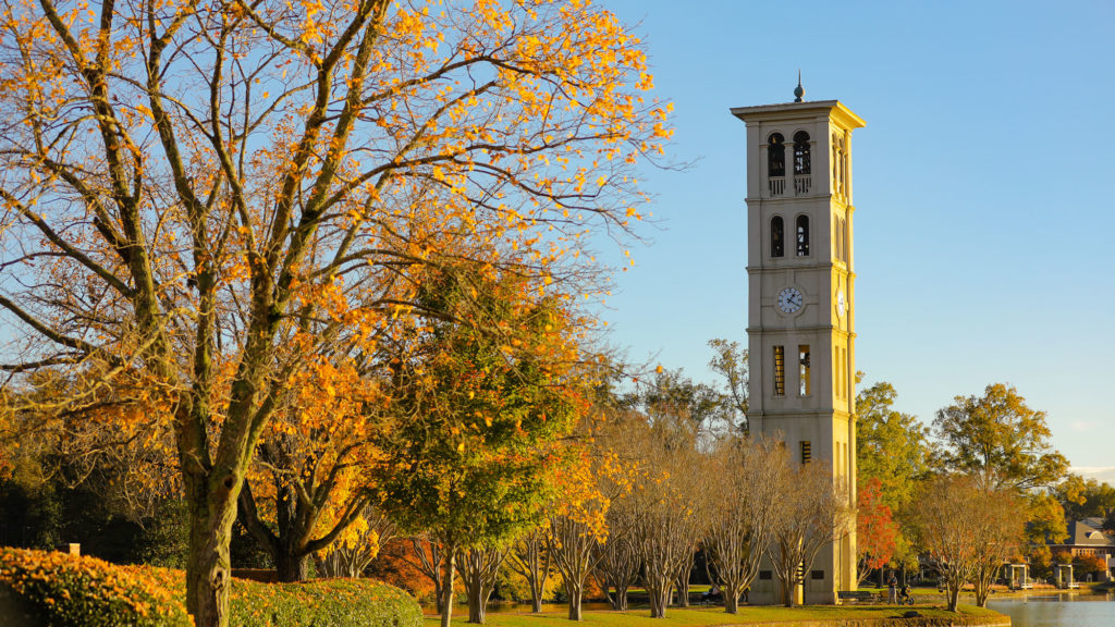 Bell tower in the fall, view of autumnal trees