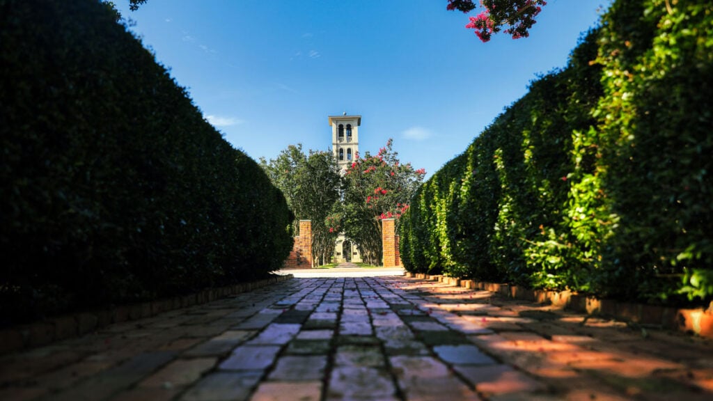 Furman Belltower in Summer