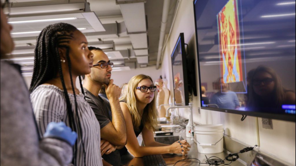 Students looking at an image on a TV