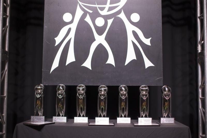 Seven awards presented at the 2015 Diversity Awards Dinner