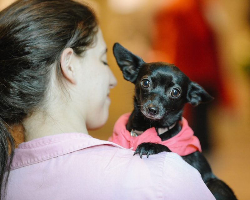 Tiny, the star of the Healing Species team