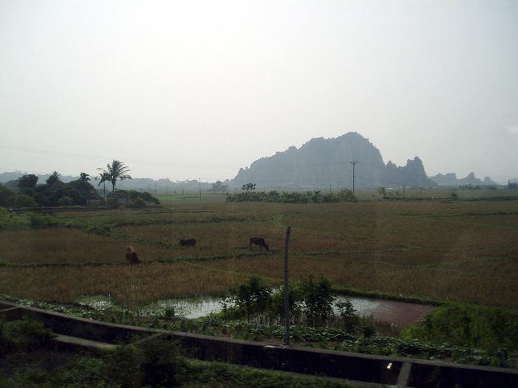 More of the countryside