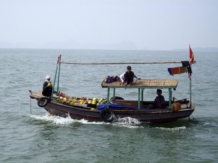 A Vietnamese fruit boat in Ha Long Bay