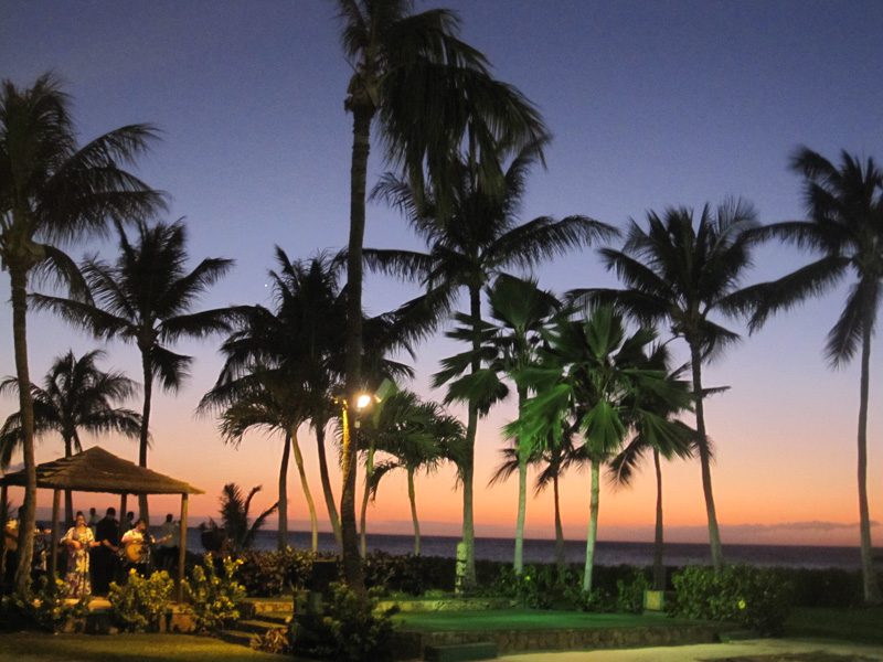 The luau