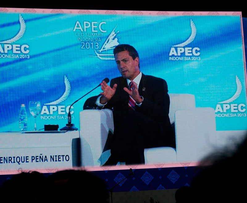 Enrique Peña Nieto, President of Mexico
