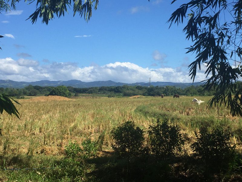 The visit to Gawad Kalinga Farm offered beautiful views like this one