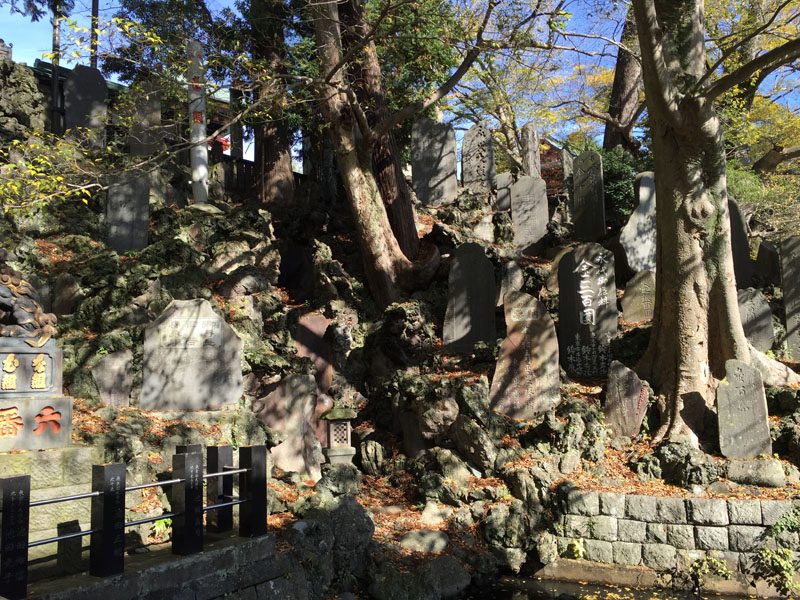 Some of the delegates ventured out in Japan during a layover in Tokyo