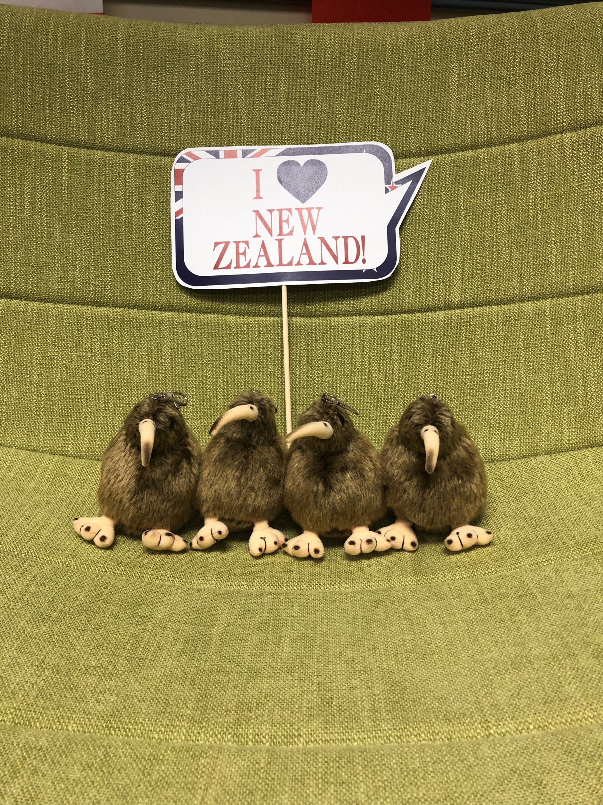 Though this year's summit was virtual, the Riley Institute brought New Zealand to the delegates. Pictured here are plush Kiwi birds, just one of the New Zealand-themed items they received