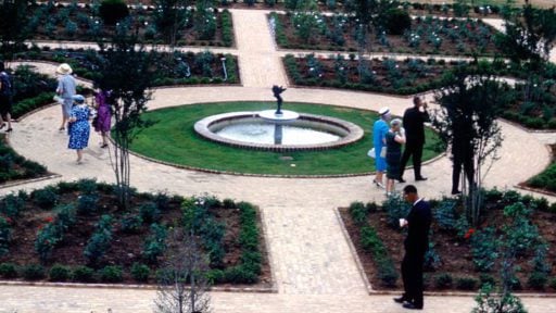 View of rose garden, fountain in center