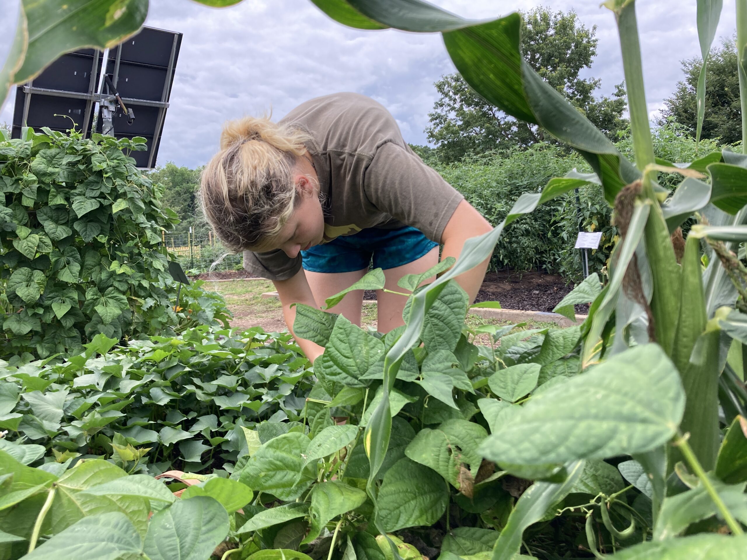 Anna Timbes '26 is the Student Assistant Farm Manager at the Furman Farm.
