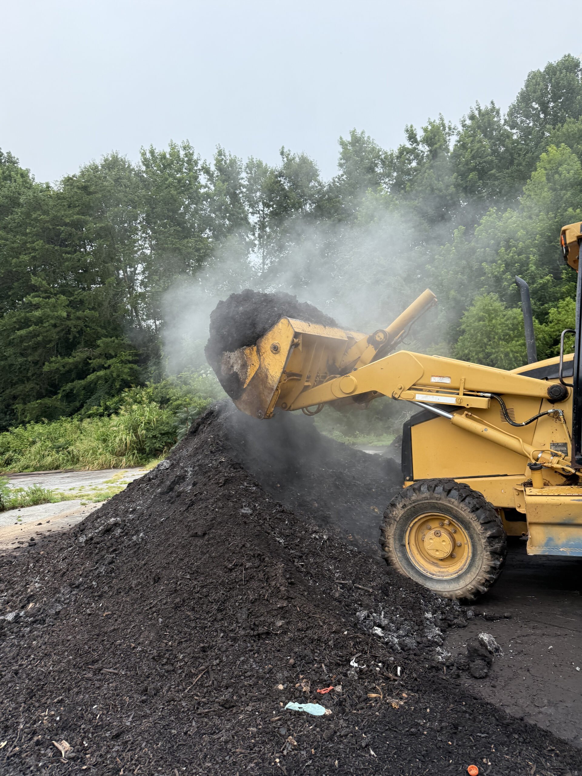 Steam coming off a compost pile
