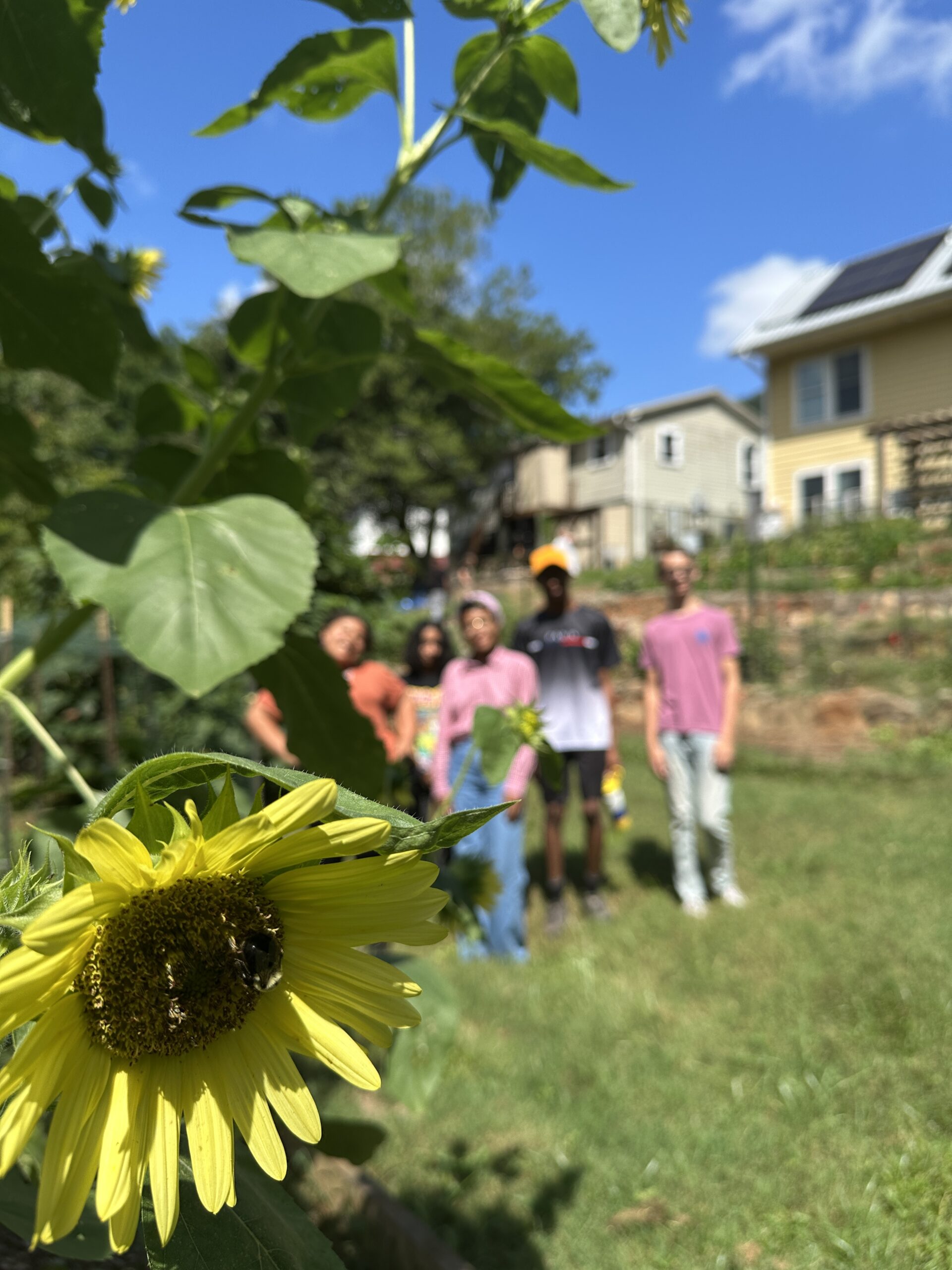 Steward Youth Fellows with a sunflower