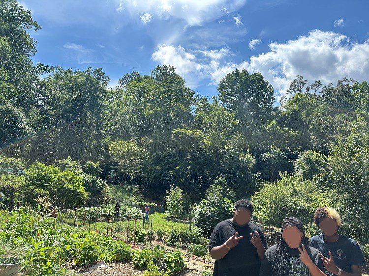Steward Youth Fellows in the Sustaining Way Garden
