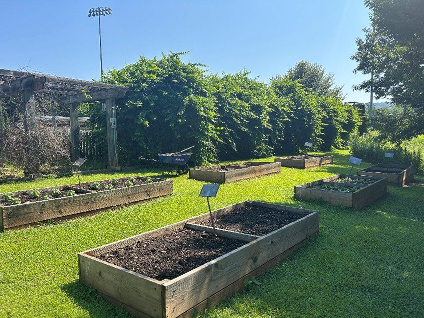 Raised beds on the Furman Farm