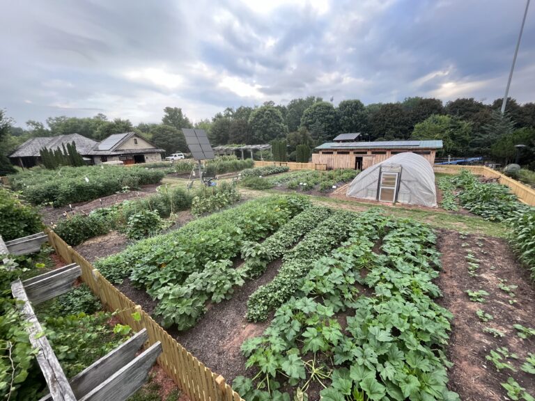Overhead view of the Furman Farm