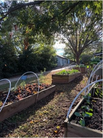 Raised garden beds