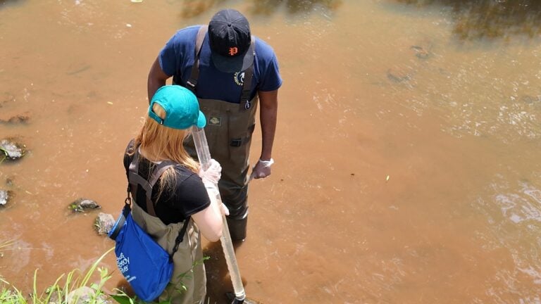 Two students wading in a river