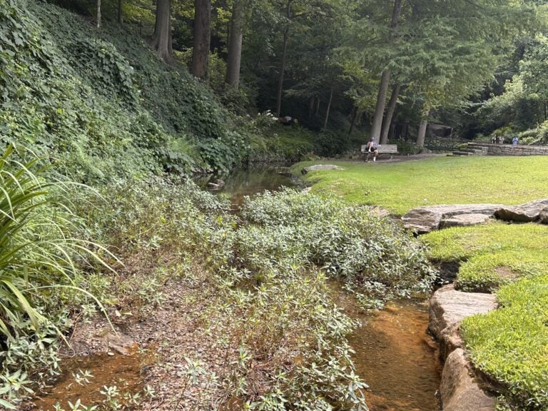 Stream