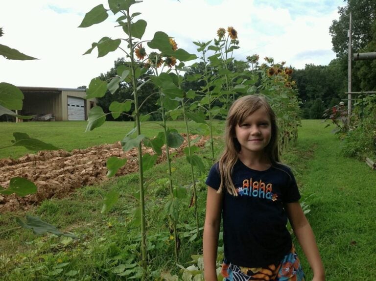 Young girl in sunflower garden