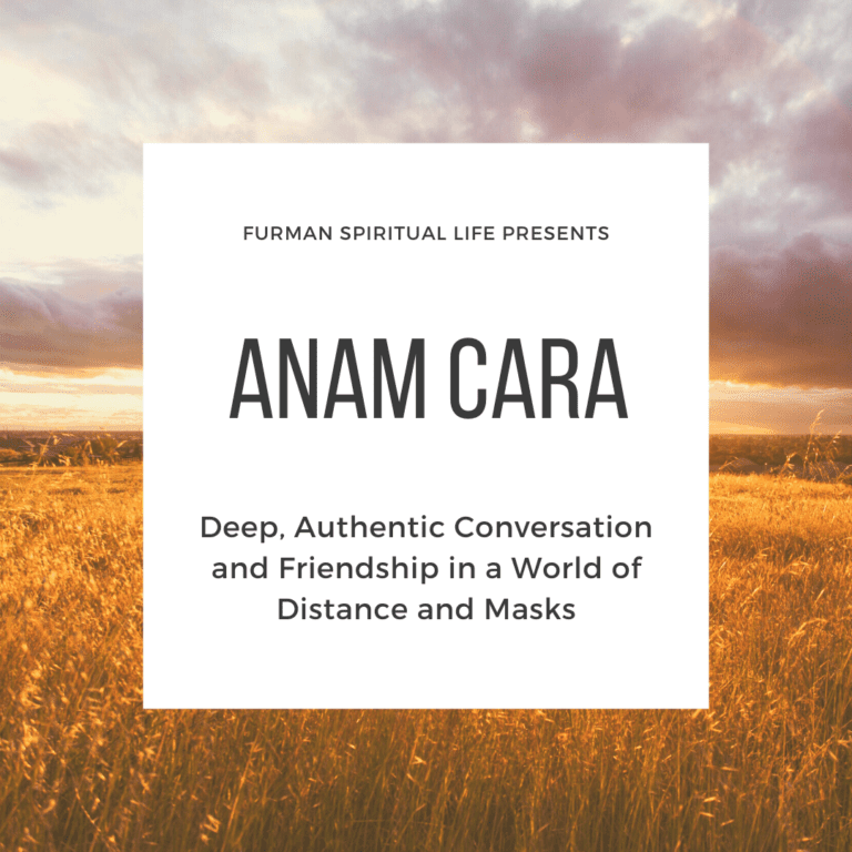 field of wheat with title Anam Cara