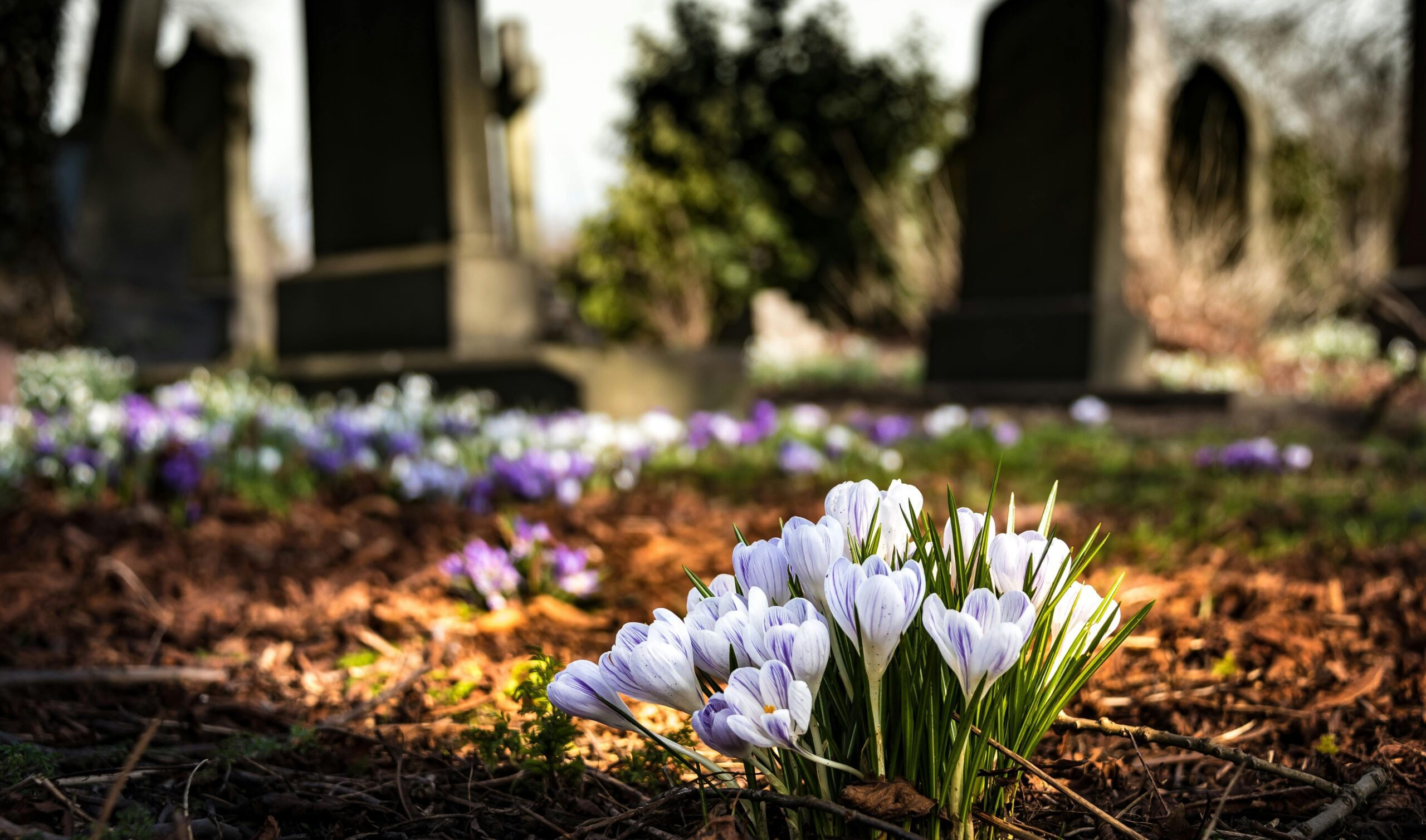 Grief &amp; Loss
