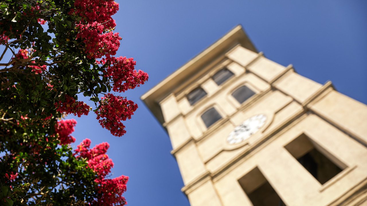 Bell tower blurred with summer flowers