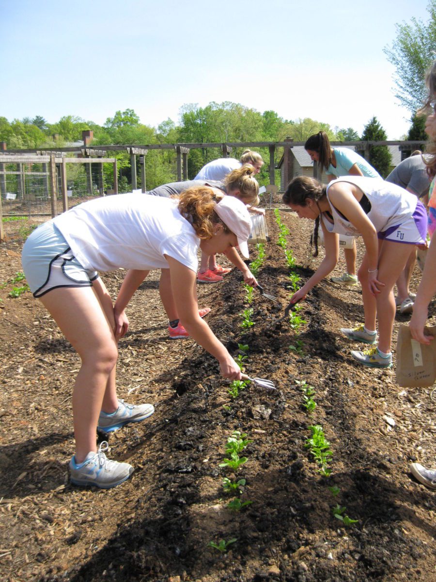 Students working on the farm