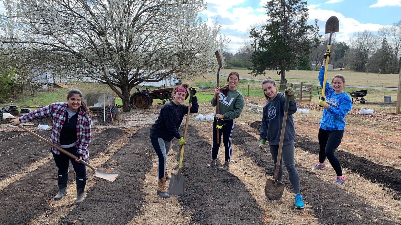 Students working at Mill Village farms