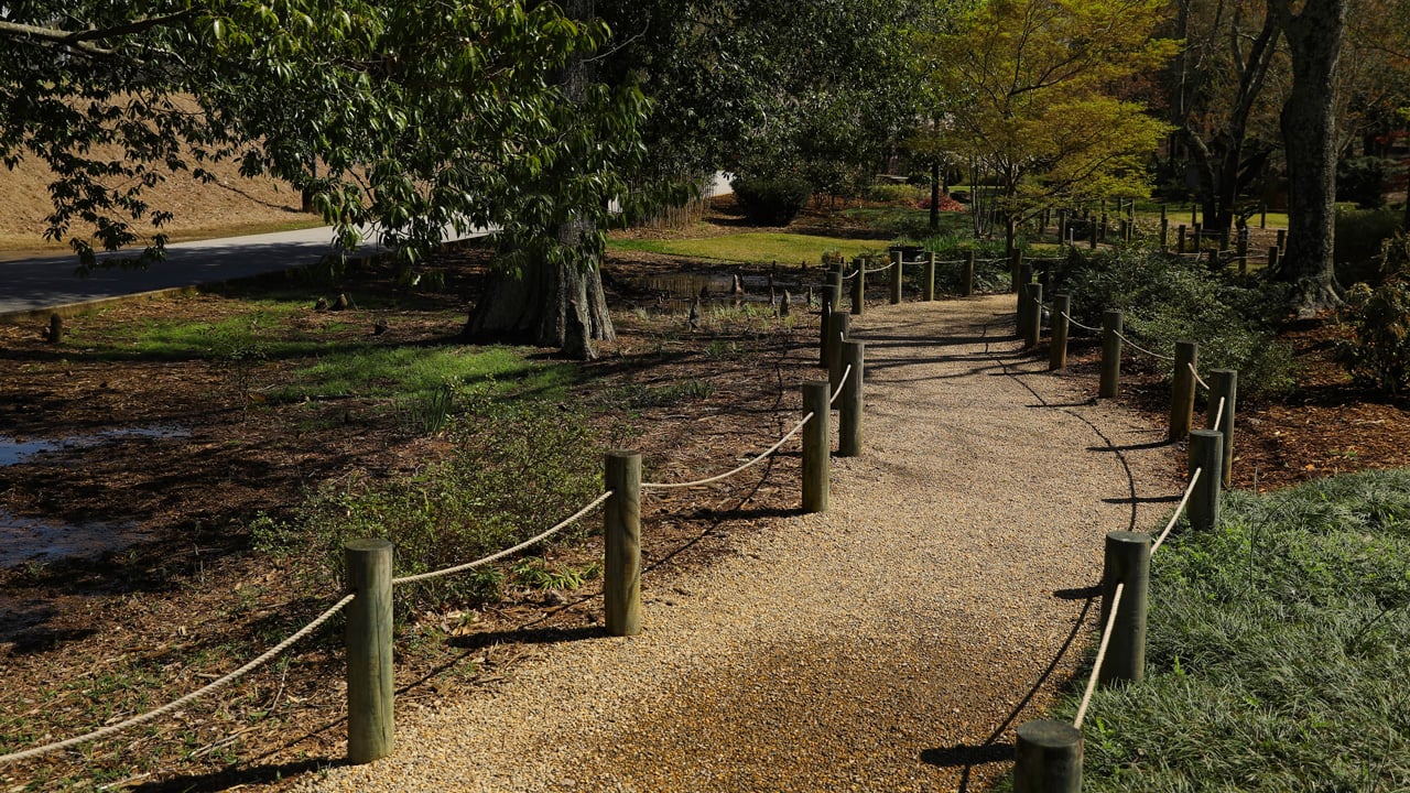 path on Furman's campus