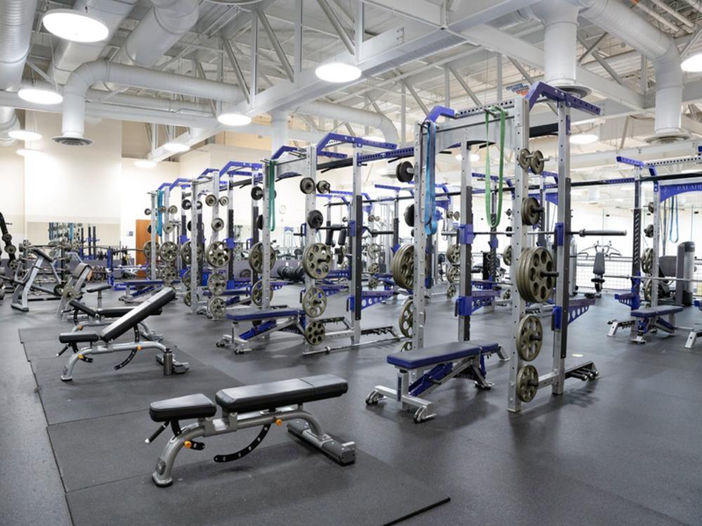 Overview of the Lay Physical Activity Center