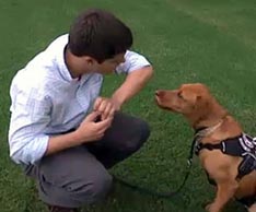 life-changing-animals-scetv